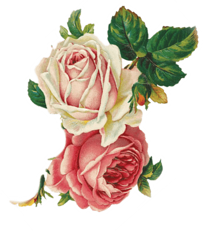 annachocola hats - flowers