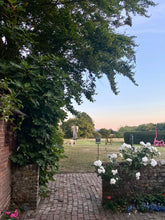 Farleys surrealist picnic evening